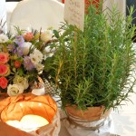 DSCN5298.xnbak 1-8