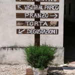 insegna