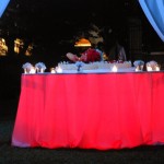 catering_matrimonio_treviso_galleria 11