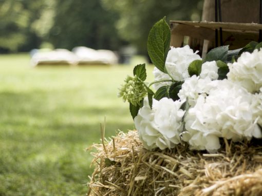 Matrimonio Country Chic in Villa Brandolini D’Adda – Sacile